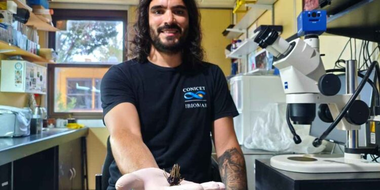 Descubren una nueva especie de erizo de mar