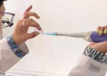 Estudio con cianobacterias