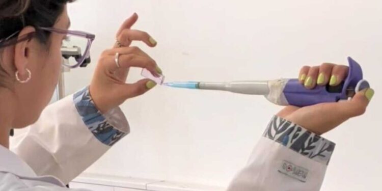 Estudio con cianobacterias