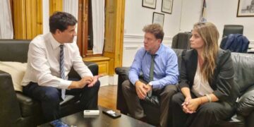 Legisladores de la UCR promueven Boleta Única de Papel