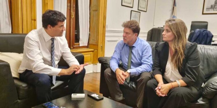 Legisladores de la UCR promueven Boleta Única de Papel