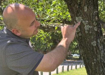 Microplásticos en el aire