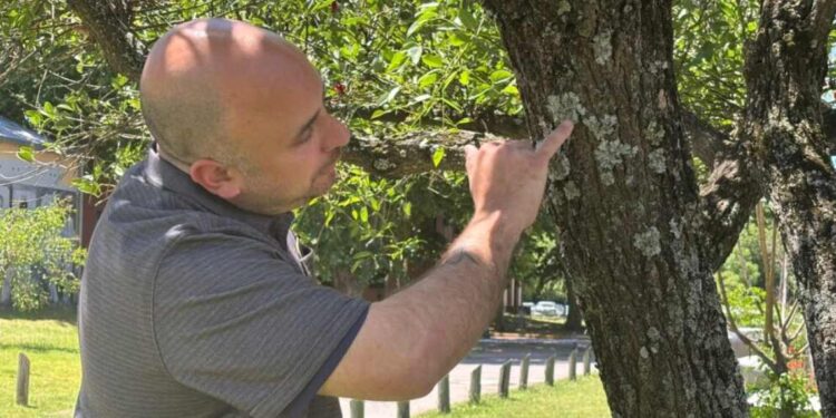 Microplásticos en el aire