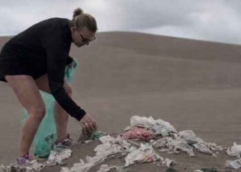 Octava temporada de Playas Limpias en Monte Hermoso