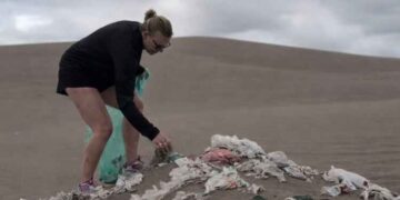 Octava temporada de Playas Limpias en Monte Hermoso