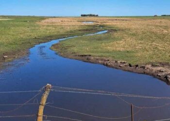 De lo que debemos discutir los bonaerenses