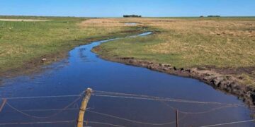 De lo que debemos discutir los bonaerenses
