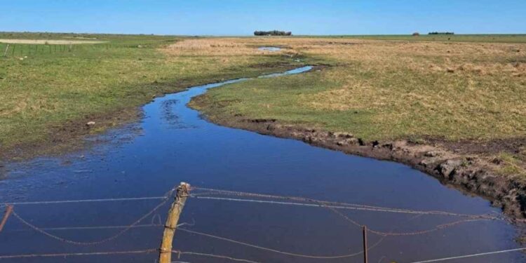 De lo que debemos discutir los bonaerenses