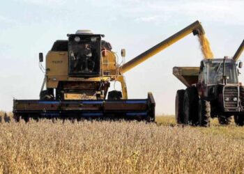 Cosecha de la soja en abril