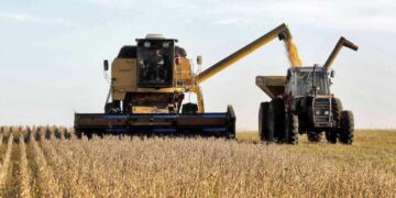 Cosecha de la soja en abril