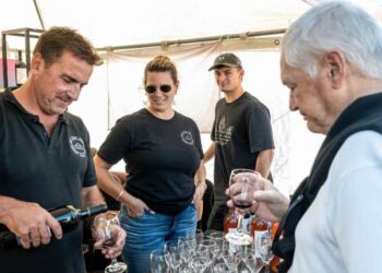 Fiesta Provincial de la Vendimia en Saldungaray