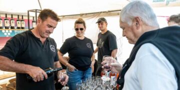 Fiesta Provincial de la Vendimia en Saldungaray