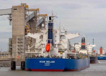 Movimiento en el Puerto de Bahía Blanca