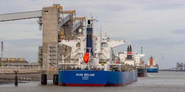 Movimiento en el Puerto de Bahía Blanca