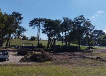 Obra del nuevo paseo comercial en Plaza Parque
