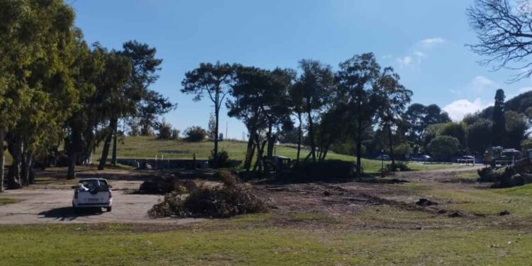 Obra del nuevo paseo comercial en Plaza Parque