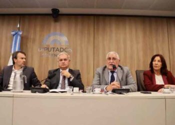 Presentación de CAME en Diputados