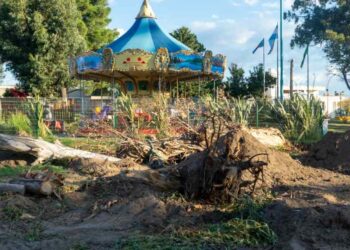 Tala de árboles en Plaza Parque