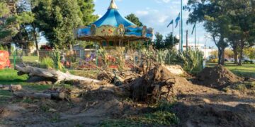 Tala de árboles en Plaza Parque