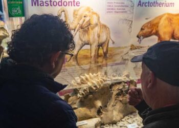 La noche de los museos en Monte Hermoso