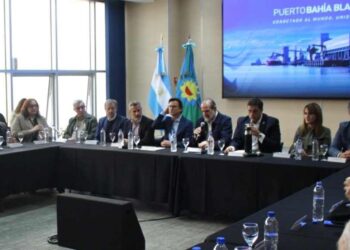 Planes quinquenales puertos de Bahía Blanca y Rosales