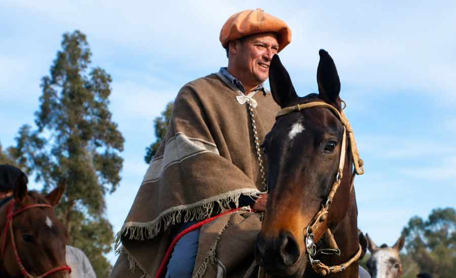 El Vasco Elzaurdia