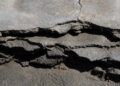 Un estudio científico aporta nuevas pistas sobre cómo eran las costas hace más de 500 millones de años
