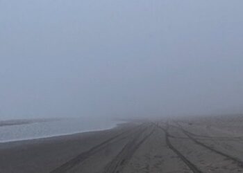 Niebla en la orilla del mar