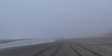 Niebla en la orilla del mar