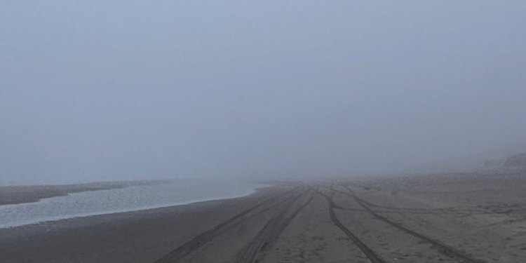 Niebla en la orilla del mar