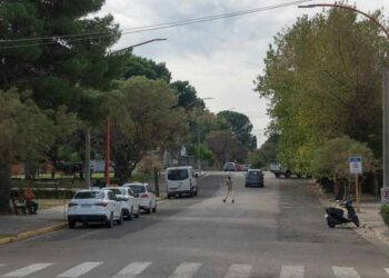La Cooperativa Eléctrica invertirá un millón de dólares para modernizar la red subterránea del centro de Monte Hermoso