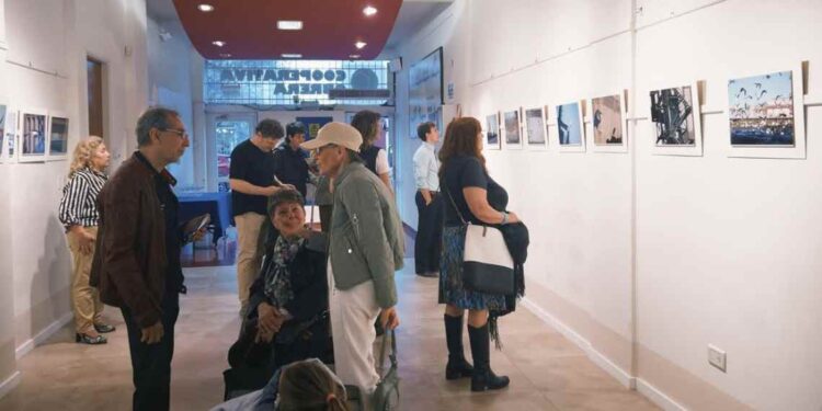 Concurso fotográfico de La Coope