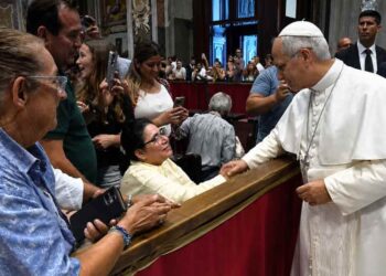 Audiencia del Papa León
