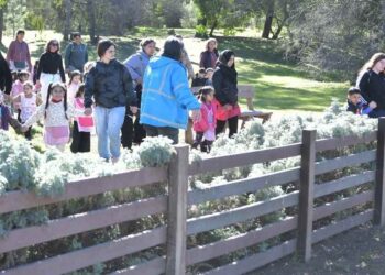 Proyecto de reciclaje del Jardín 901