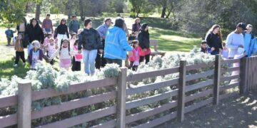 Proyecto de reciclaje del Jardín 901