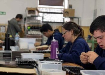 Talleres protegidos