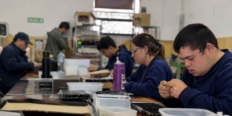 Talleres protegidos