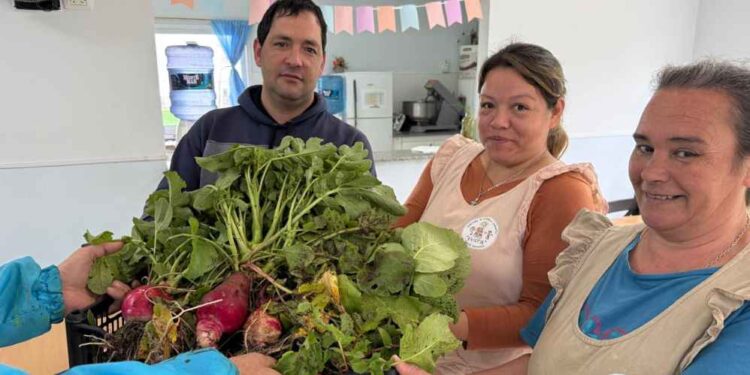 Entrega de alimentos de la huerta orgánica municipal