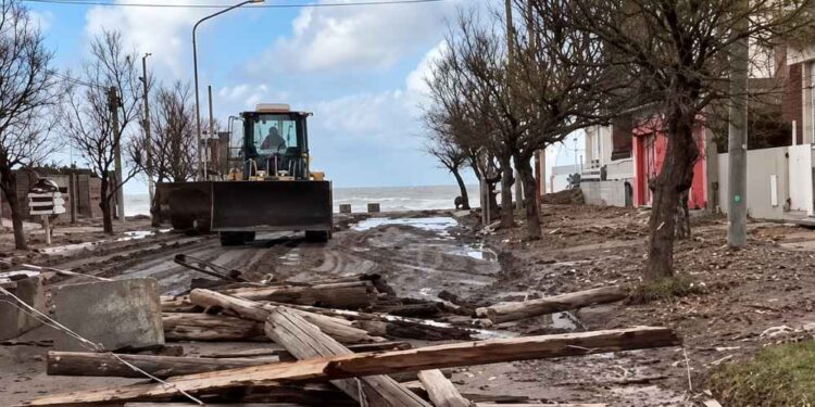 Trabajos de limpieza tras el temporal