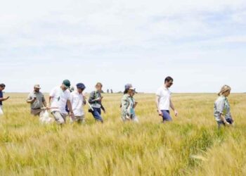 Agrotour Bolsa de Cereales