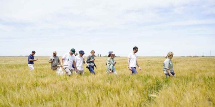 Agrotour Bolsa de Cereales