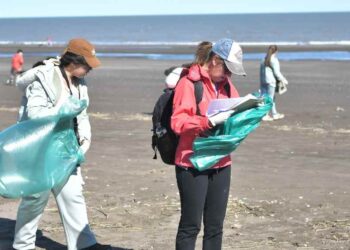 Censo provincial de basura en la playa