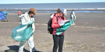 Censo provincial de basura en la playa