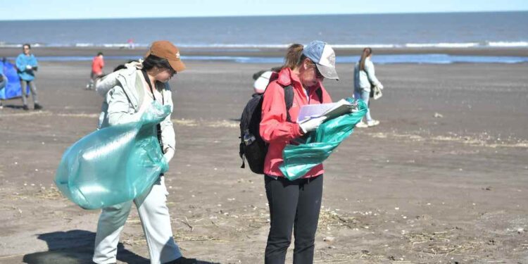 Censo provincial de basura en la playa
