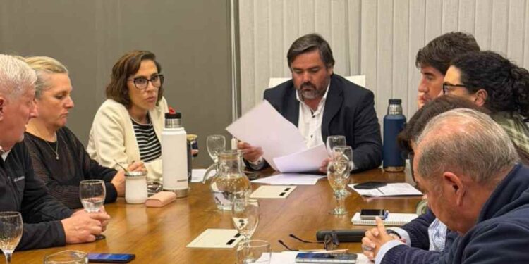 Comisiones UCR