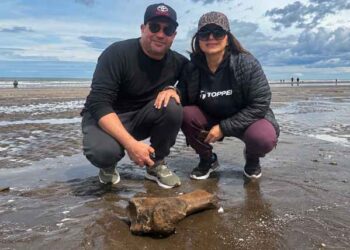 Descubren fósil en Monte Hermoso
