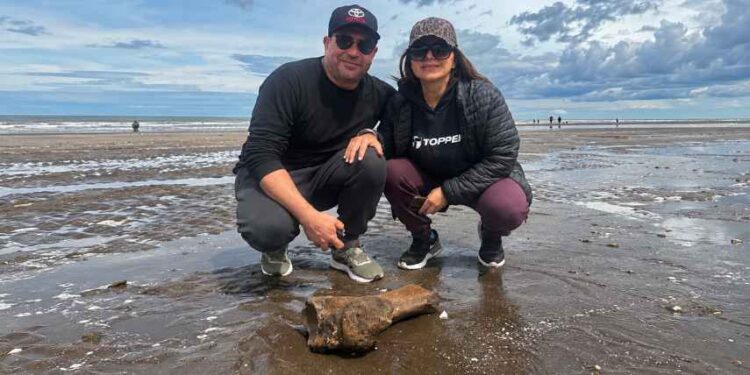 Descubren fósil en Monte Hermoso