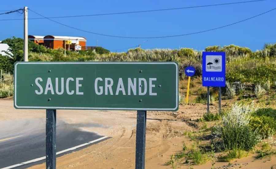 Sauce Grande ingreso